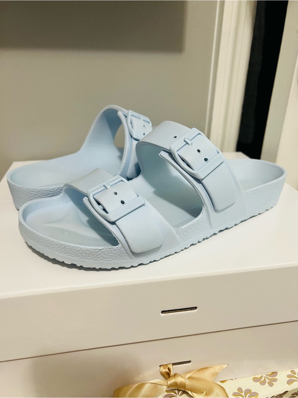 Women’s Double-Buckle Slide Sandals in Light Blue